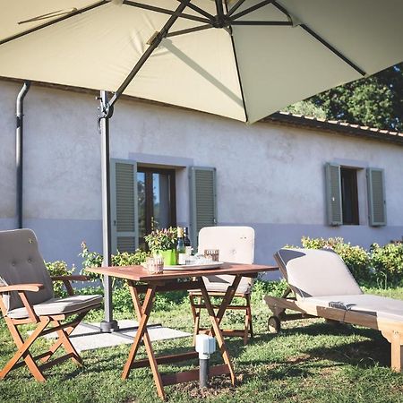 Gatto Rosso Bed & Breakfast Bolgheri Dış mekan fotoğraf