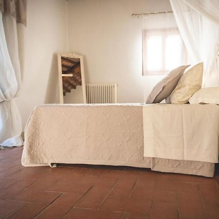 Gatto Rosso Bed & Breakfast Bolgheri Dış mekan fotoğraf
