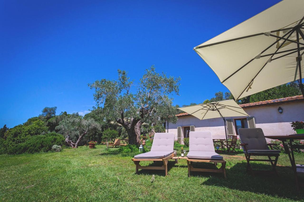 Gatto Rosso Bed & Breakfast Bolgheri Dış mekan fotoğraf