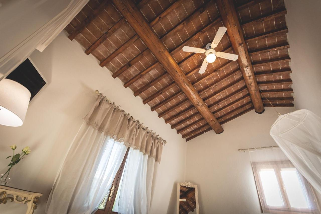 Gatto Rosso Bed & Breakfast Bolgheri Dış mekan fotoğraf
