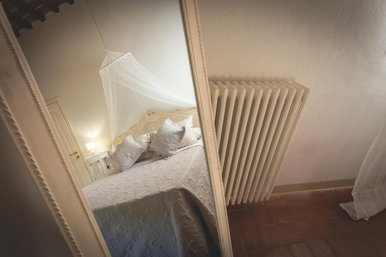 Gatto Rosso Bed & Breakfast Bolgheri Dış mekan fotoğraf