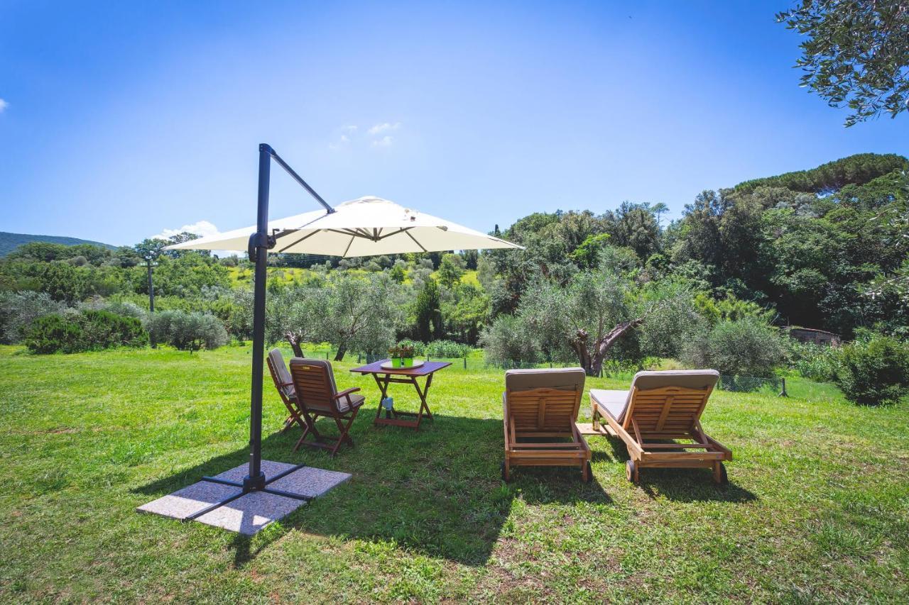 Gatto Rosso Bed & Breakfast Bolgheri Dış mekan fotoğraf