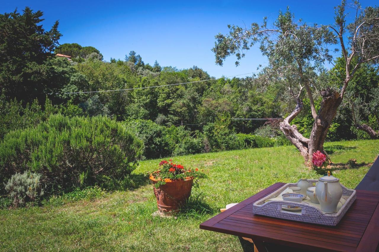 Gatto Rosso Bed & Breakfast Bolgheri Dış mekan fotoğraf