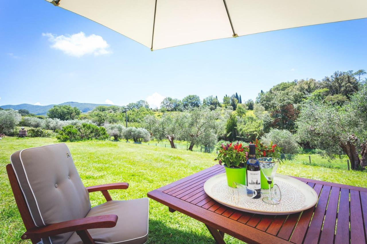 Gatto Rosso Bed & Breakfast Bolgheri Dış mekan fotoğraf