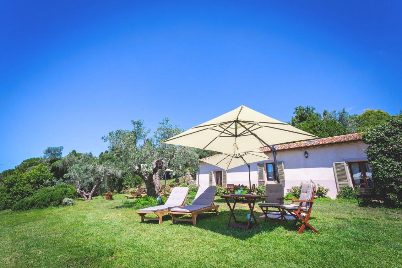 Gatto Rosso Bed & Breakfast Bolgheri Dış mekan fotoğraf