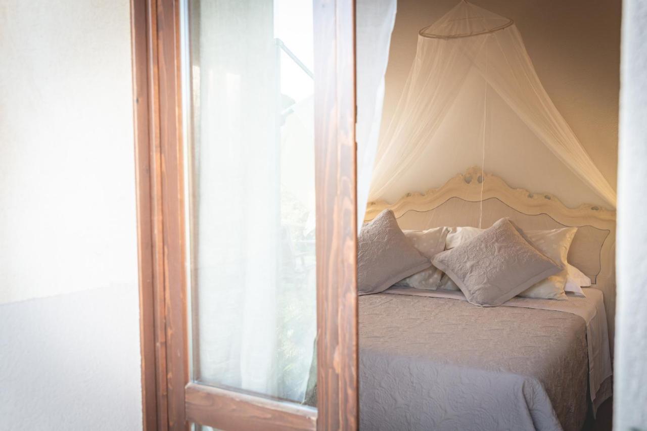 Gatto Rosso Bed & Breakfast Bolgheri Dış mekan fotoğraf