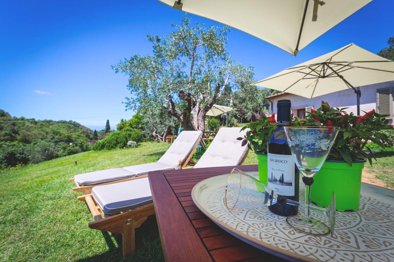 Gatto Rosso Bed & Breakfast Bolgheri Dış mekan fotoğraf