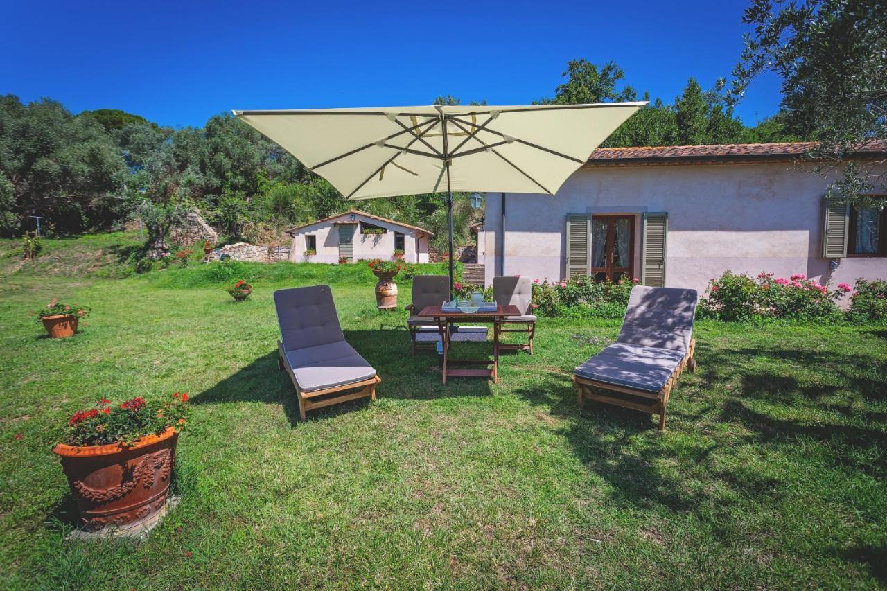 Gatto Rosso Bed & Breakfast Bolgheri Dış mekan fotoğraf